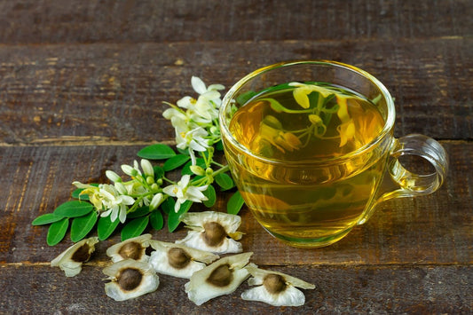 Moringa - the Next Big Thing in Tea - Maisha Tea